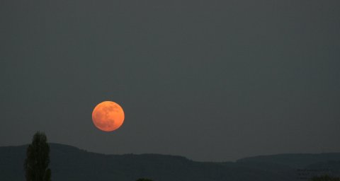 Mondfinsternis 25.4.2013 Mondaufgang Odenwald